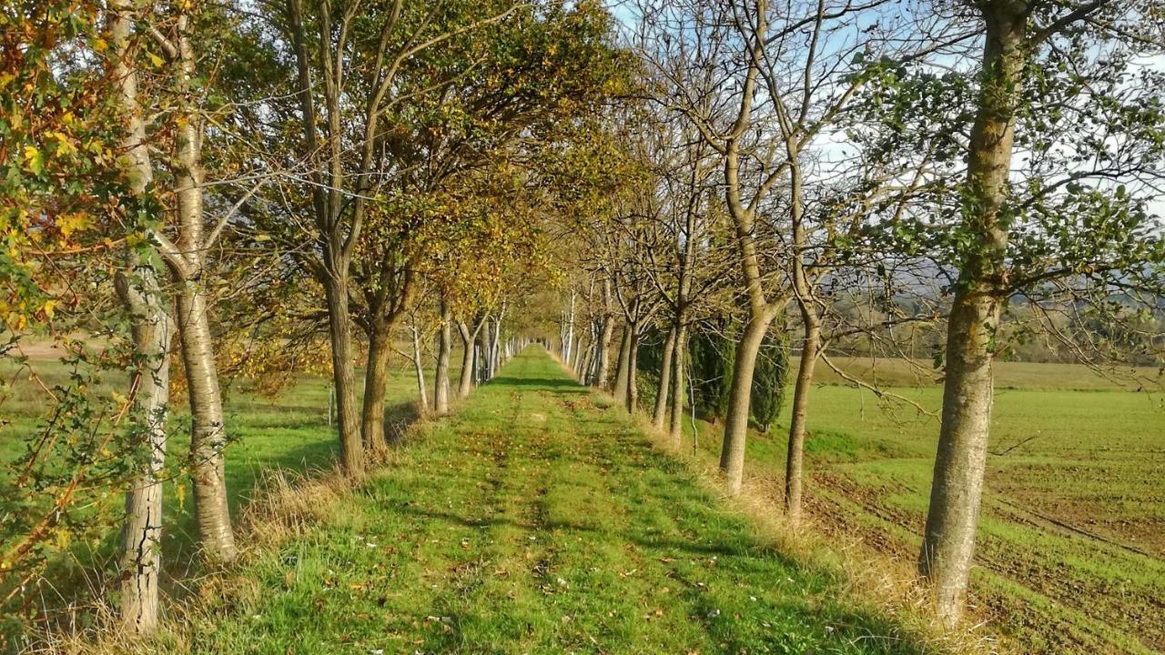 Agriturismo Casa Agricola Rossi Appartamenti In Casentino Soci Exterior photo